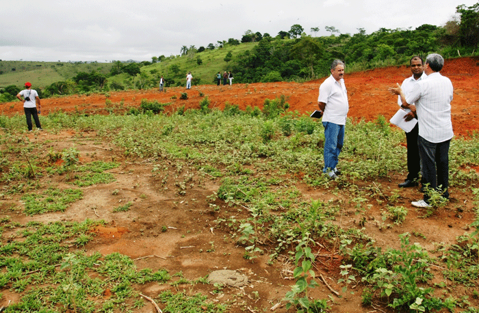 Projeto-e-Terreno-do-Frig_2