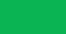 230x120_verde