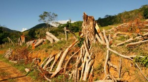 apa serra do ouro 3